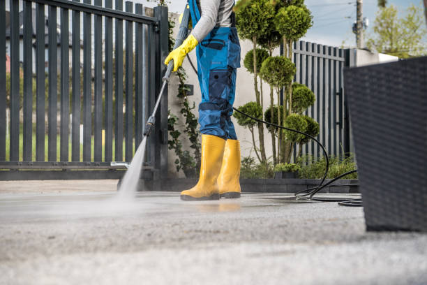 Best Patio and Deck Pressure Washing  in Hornsby Bend, TX