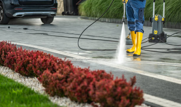Best Roof Washing  in Hornsby Bend, TX
